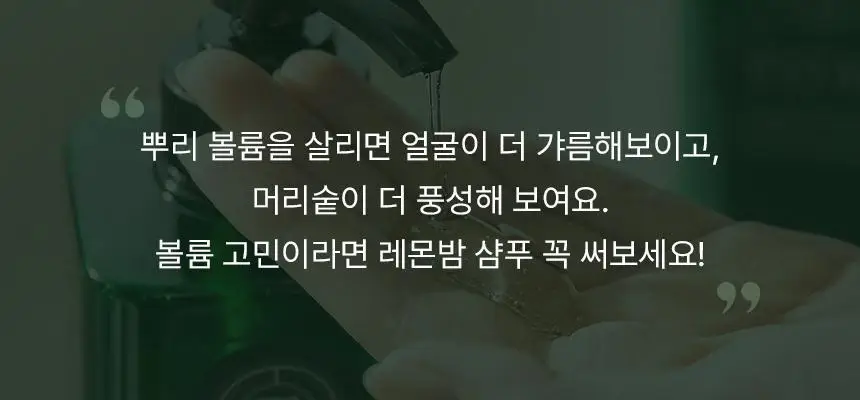 [청담샵 Pick] 티타드 레몬밤 뿌리 볼륨 샴푸 700ml 기획 (+리필 400ml 증정) 상세페이지 8